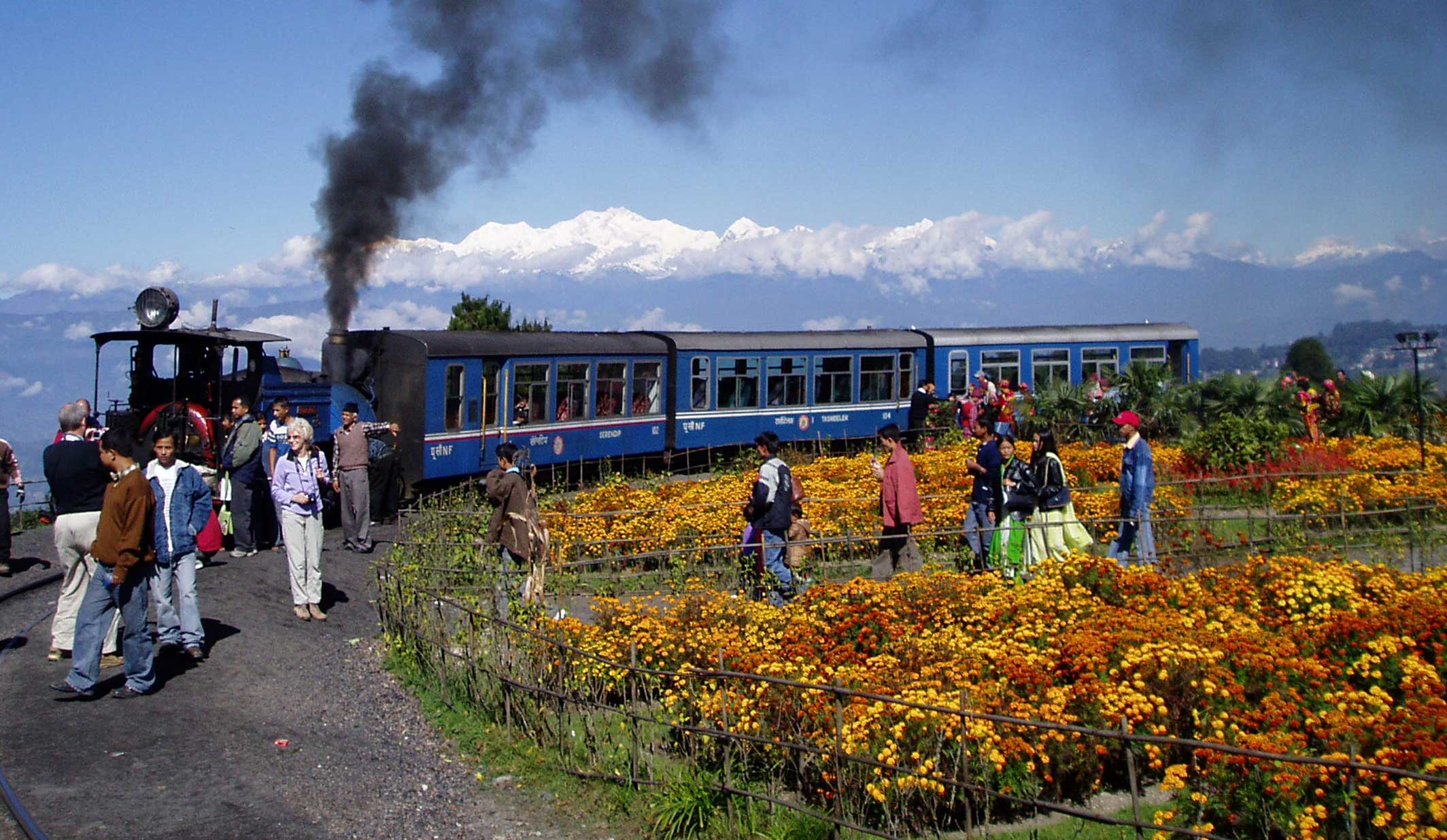 Darjeeling-Toy-Train